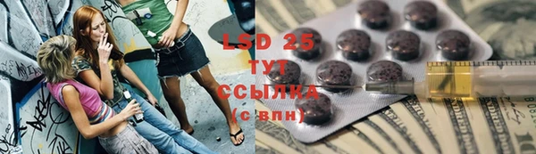трава Няндома