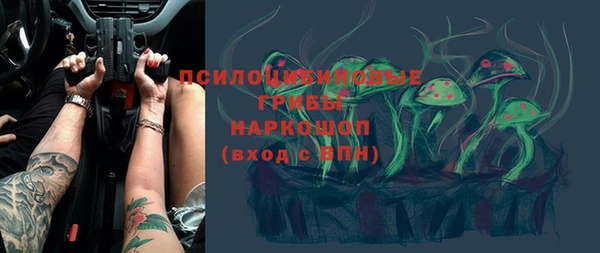 трава Няндома