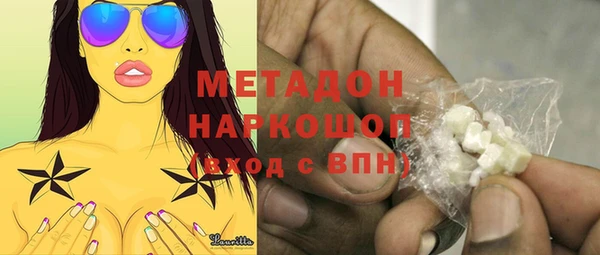 трава Няндома