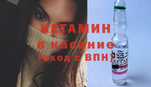 трава Няндома