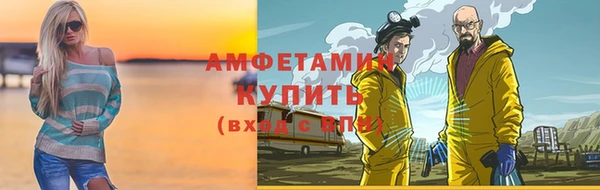 трава Няндома