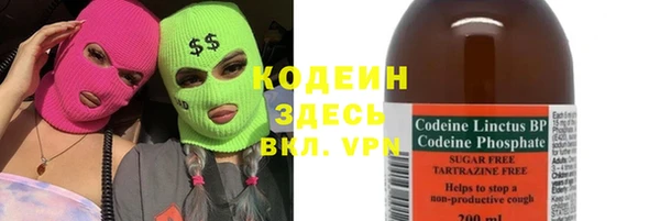 трава Няндома