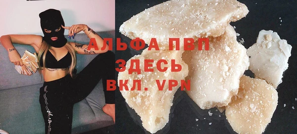 трава Няндома