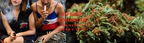гашик Новокубанск