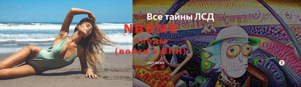 трава Няндома